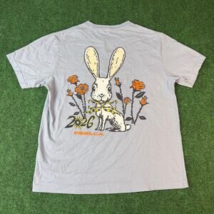 Coachella Ribbons & Roses 2026 Lineup Tee Shirt Adult Large Light Blue Rabbit